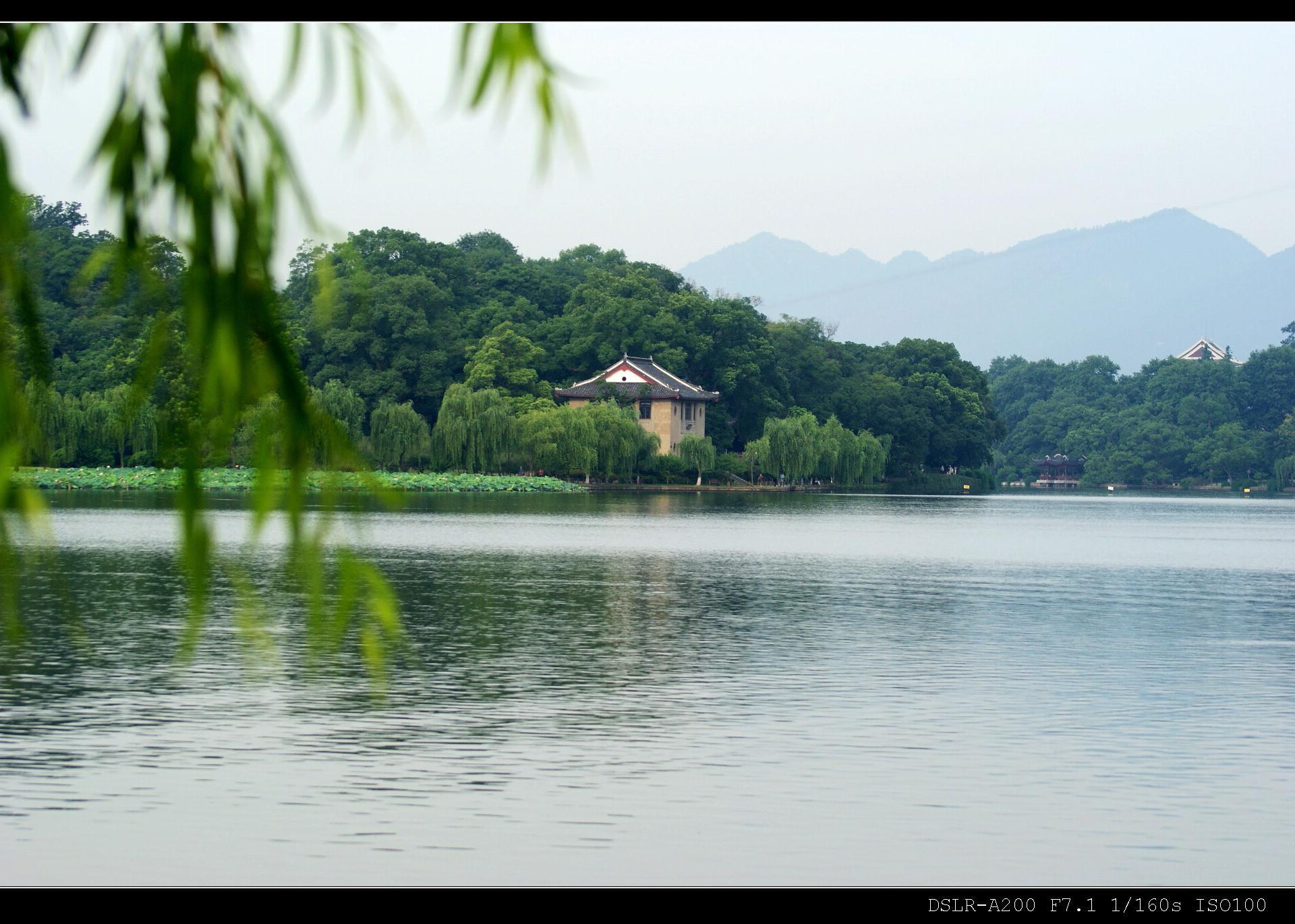 【杭州美景七月天摄影图片】杭州西湖风光摄影_我的