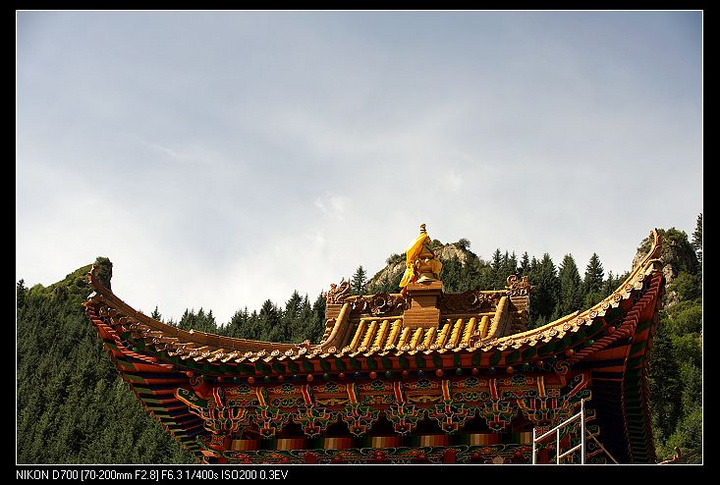 青海行佑宁寺