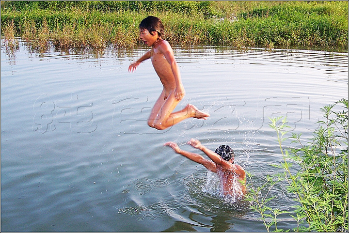 【水上芭蕾是这样练成的摄影图片】乡村纪实摄