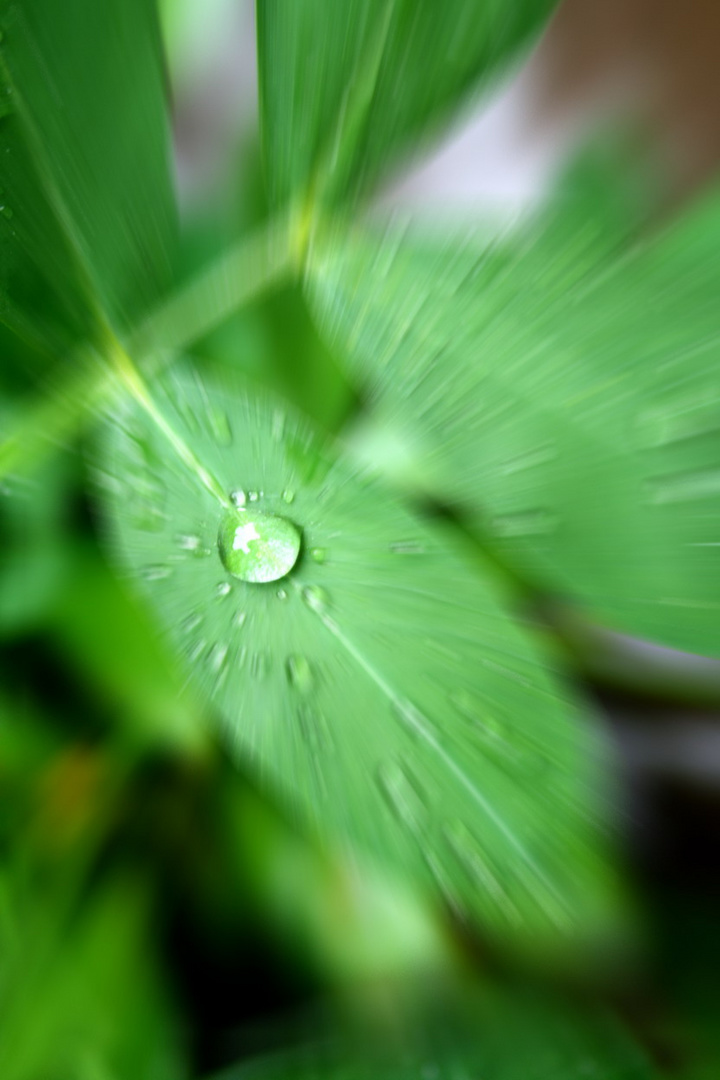 雨~叶