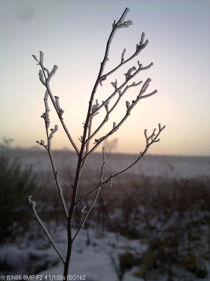 零九年雪花飞