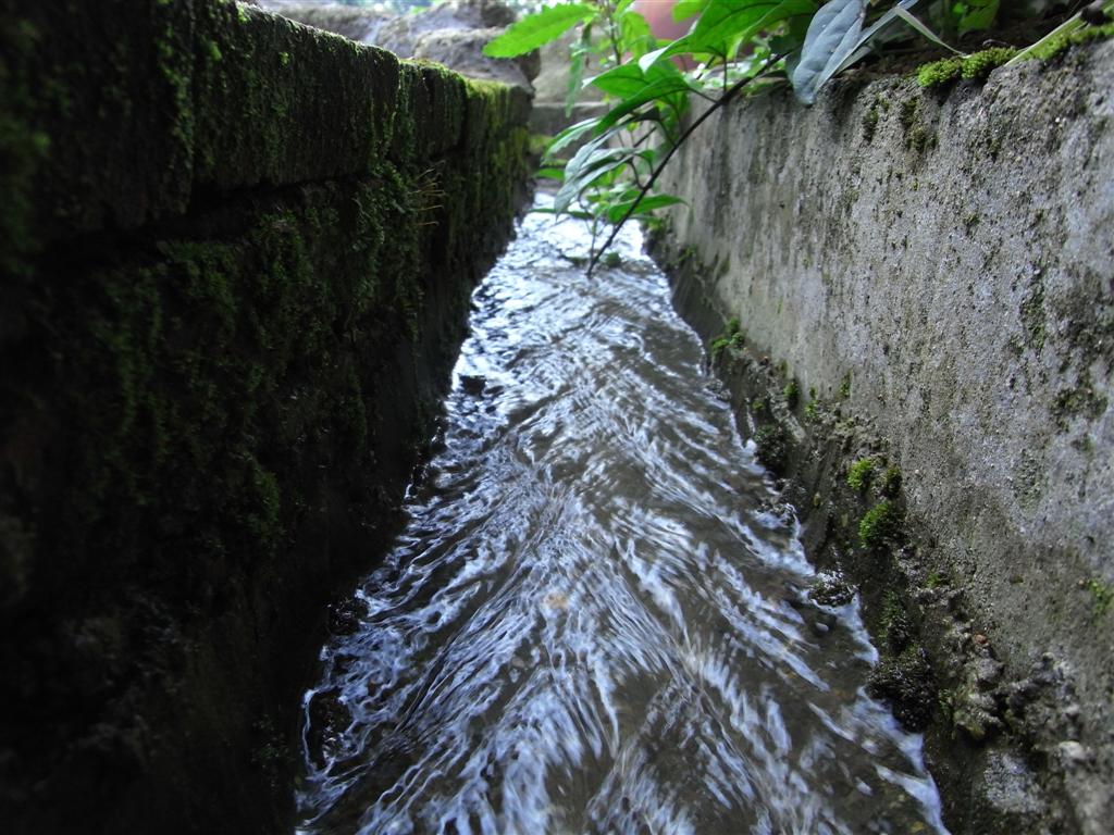 水沟