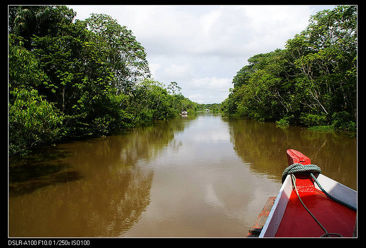 【巴西亚马逊河摄影图片】法国纪实摄影_难忘西灰岭_太平洋电脑网摄影部落