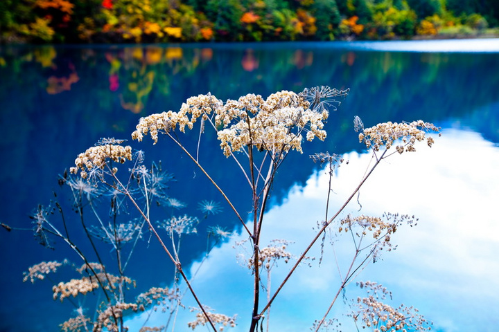 【上苍的恩赐 人间的仙境---阿坝依然美丽摄影