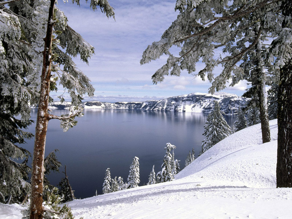 雪景