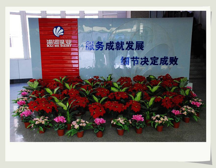 【参观海河乳业摄影图片】海河乳业有限公司