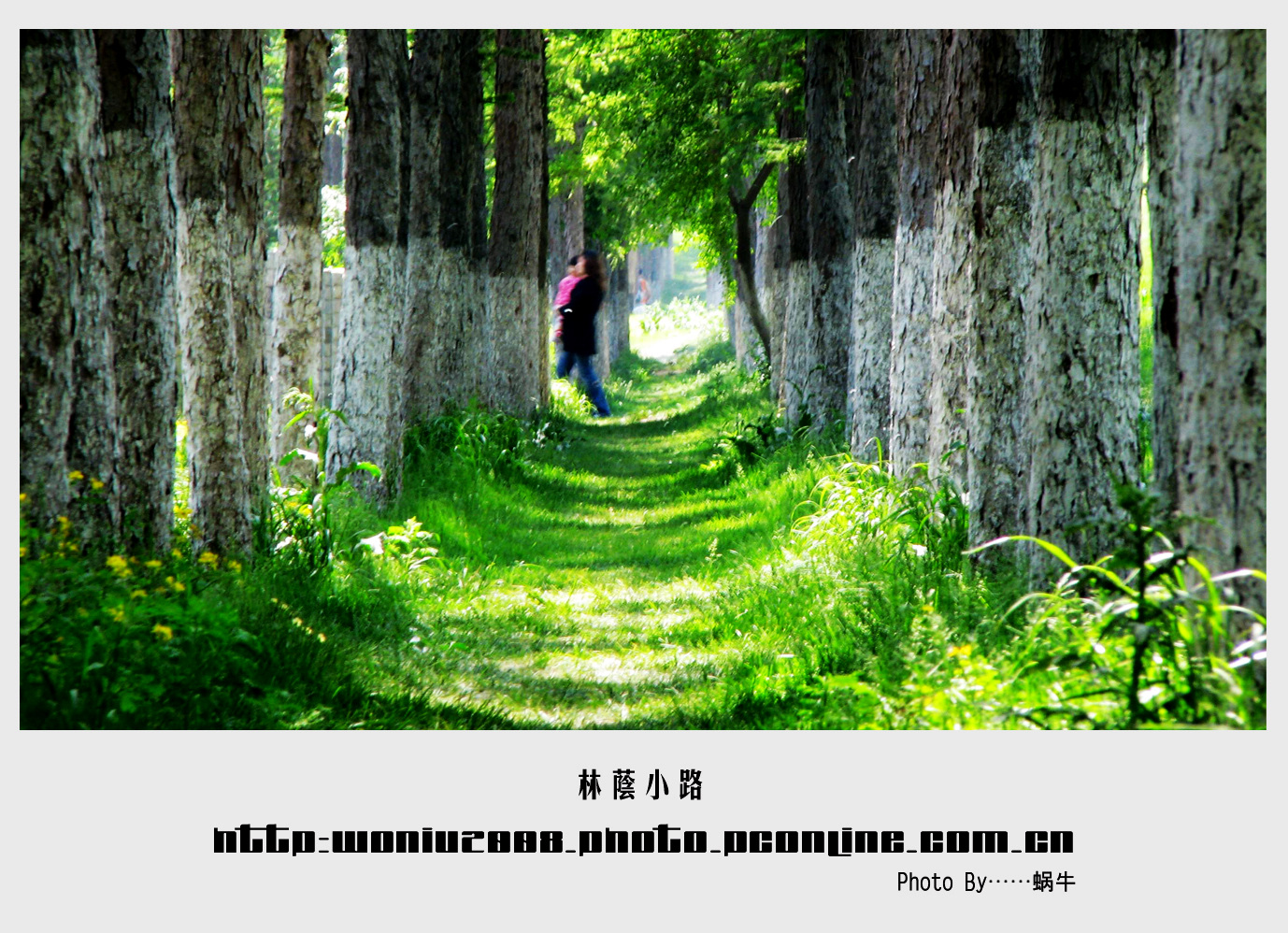林荫小路2p