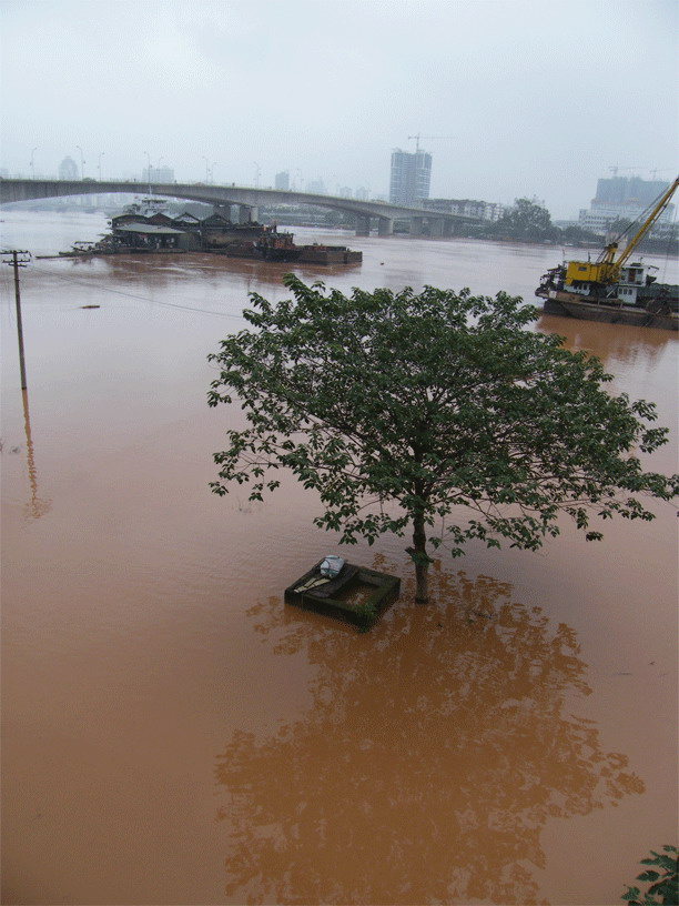【南宁--洪水中的建筑摄影图片】邕江大堤纪实
