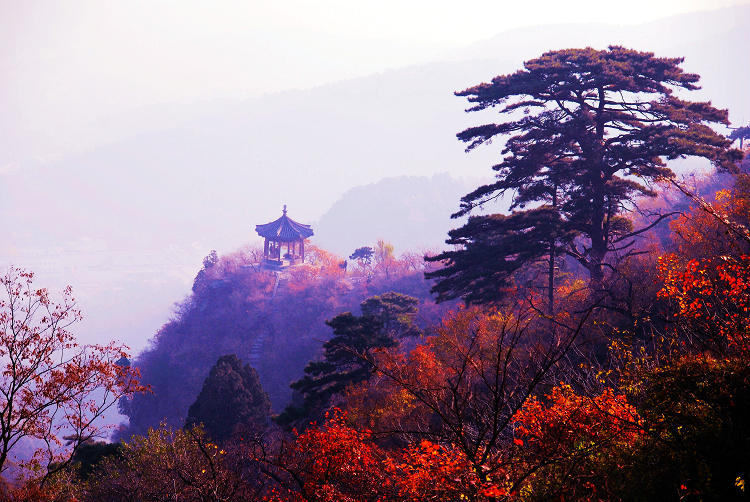 【今年的香山摄影图片】北京香山风光摄影_黄土高原_太平洋电脑网摄影