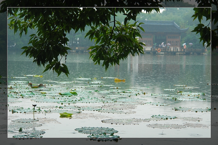 雨中即景—杭州西湖