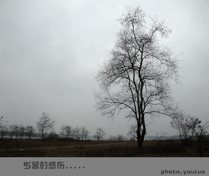 【岁暮的感伤摄影图片】柳州风光摄影