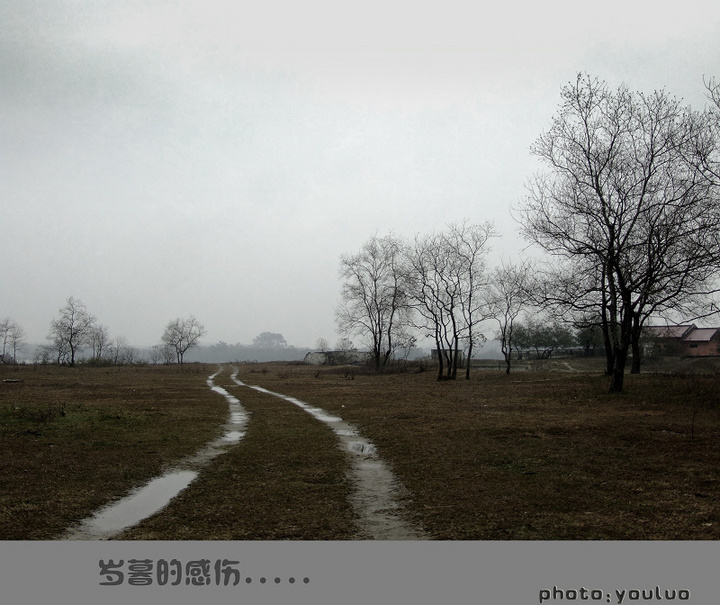 【岁暮的感伤摄影图片】柳州风光摄影