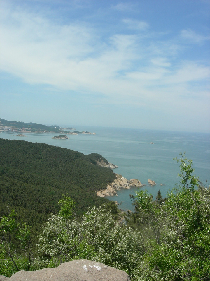 观海