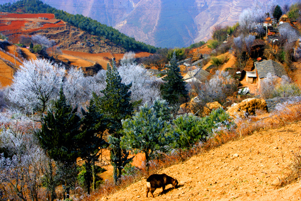 在那遥远的小山村 (共p)