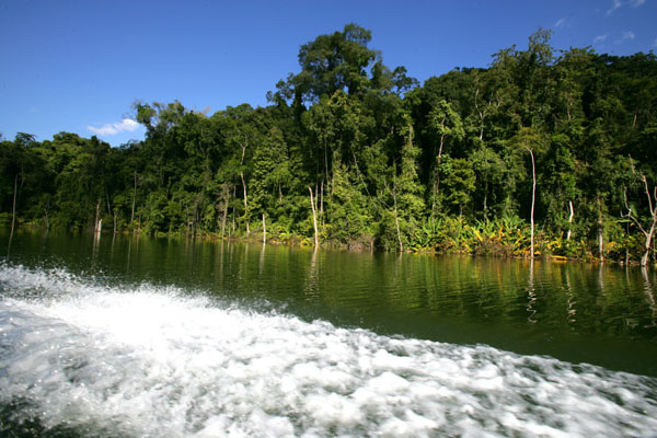 【东方亚马逊河摄影图片】勐腊风光旅游摄影
