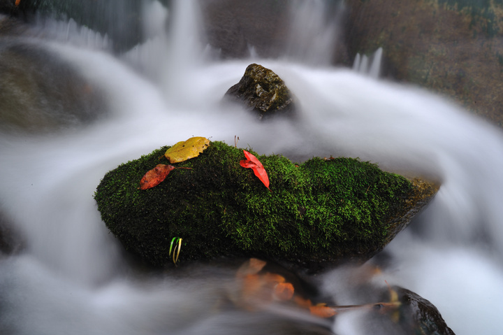 【光雾山的红叶和水摄影图片】四川南江风光旅