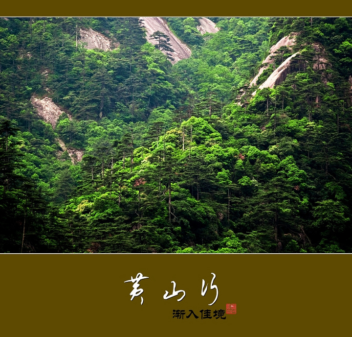 黄山行渐入佳境