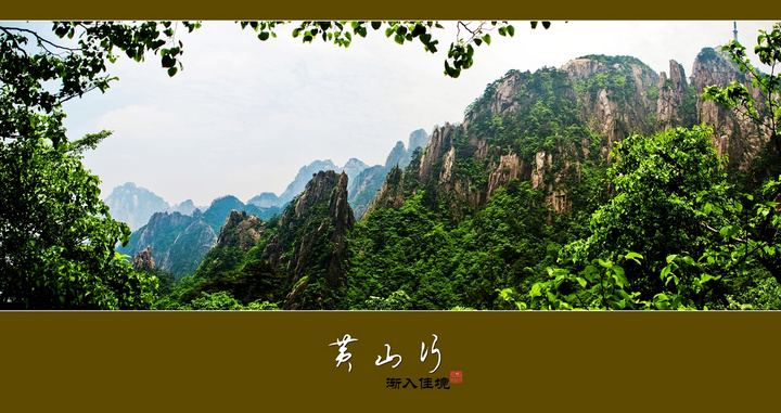 黄山行渐入佳境