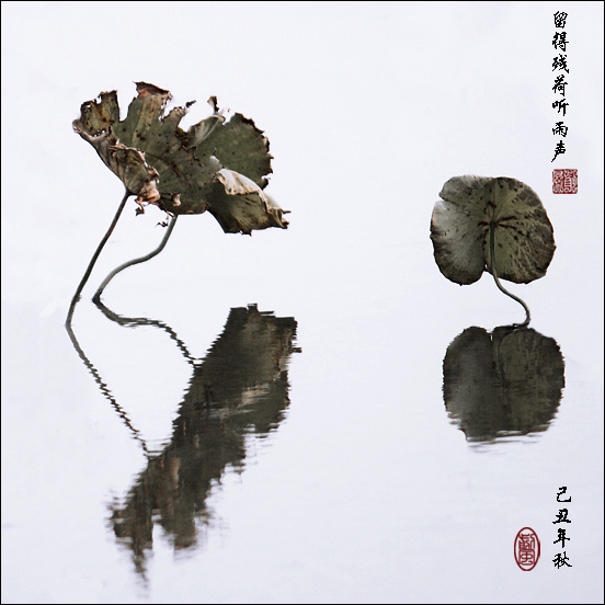 留得残荷听雨声 (/)