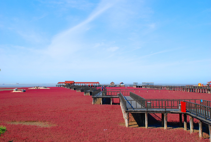 盘锦攻略;番禺九江大人旅游摄影番禺大人;【红海滩】第1幅;辽宁到泰州自驾游风光图片