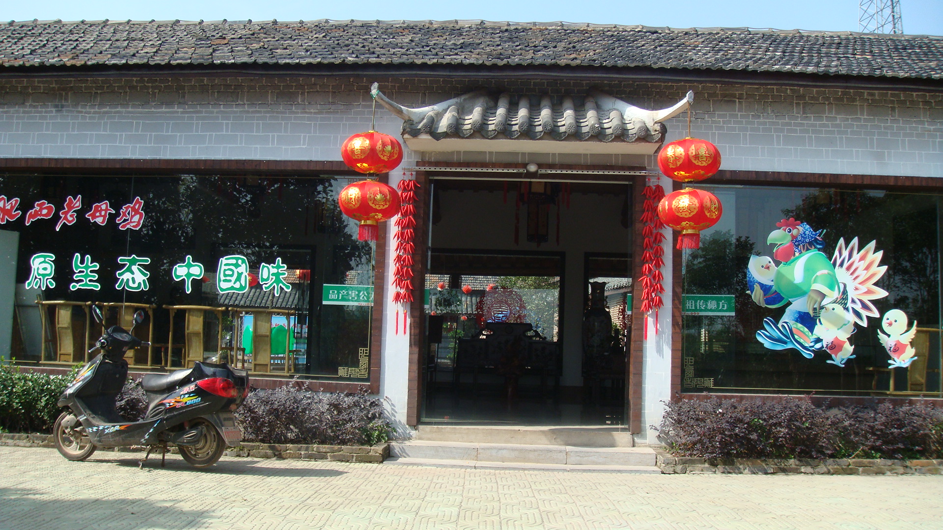 肥西老母鸡家园(91p)