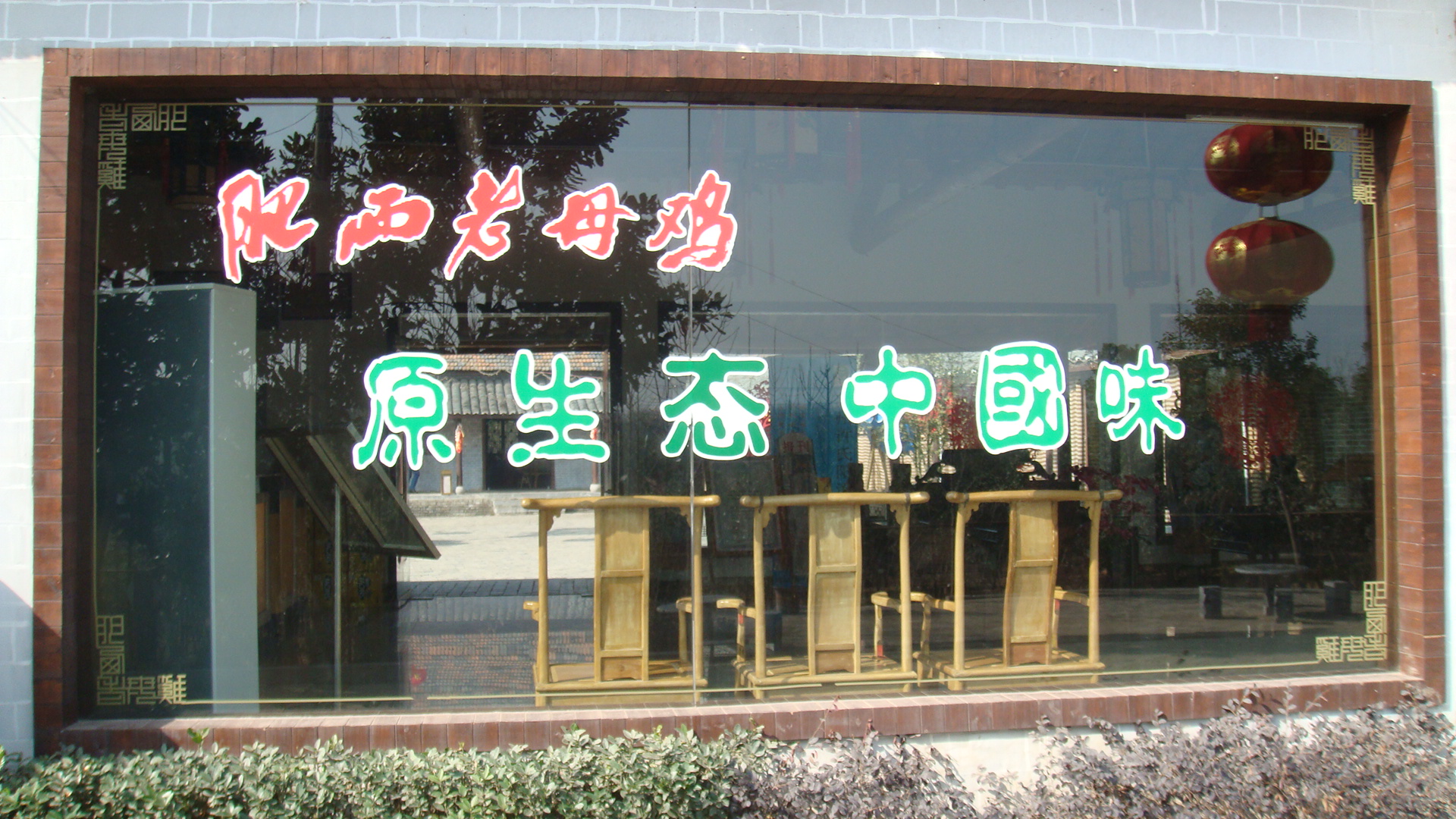 肥西老母鸡家园(91p)