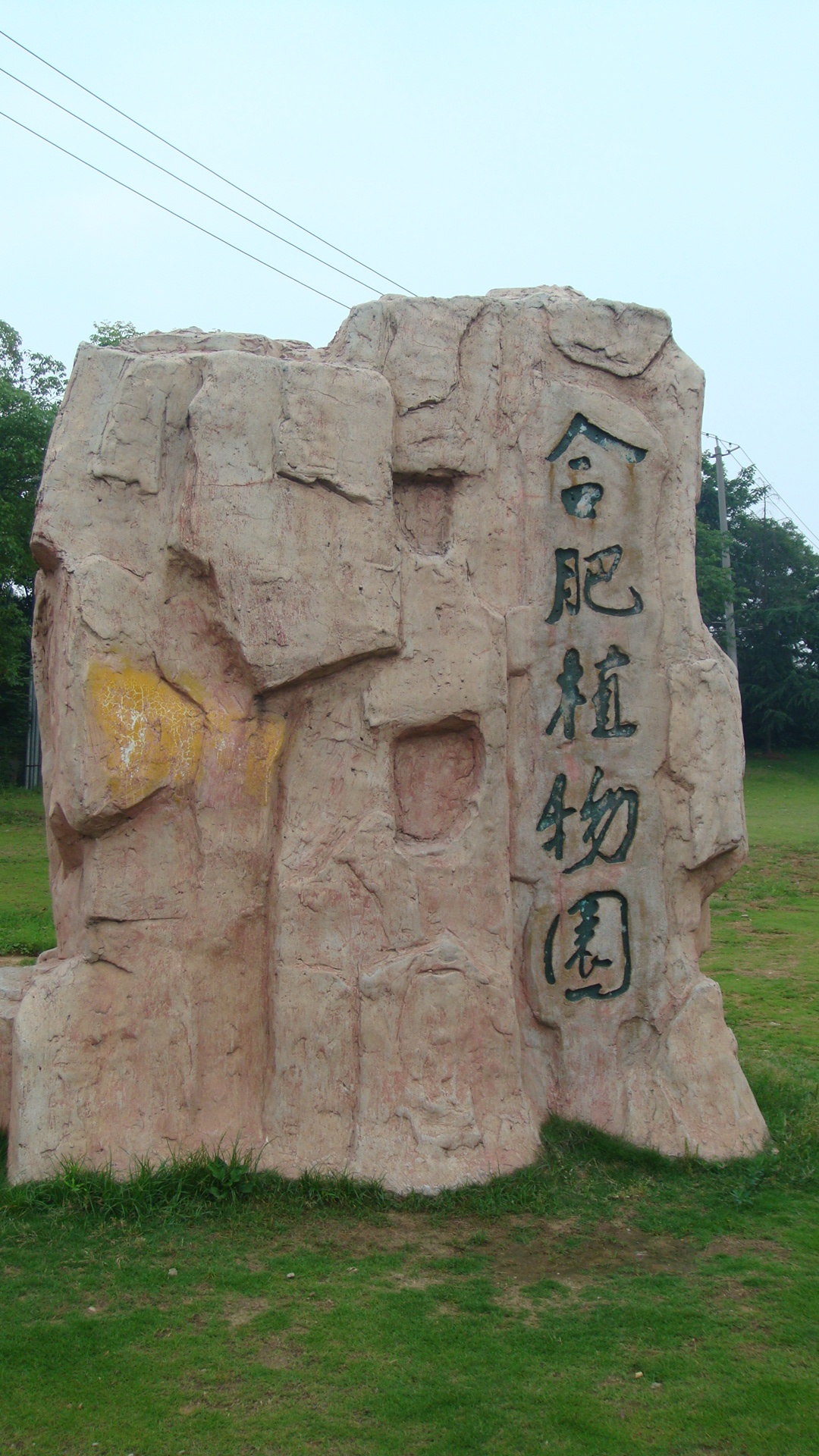 合肥植物园!(139p)