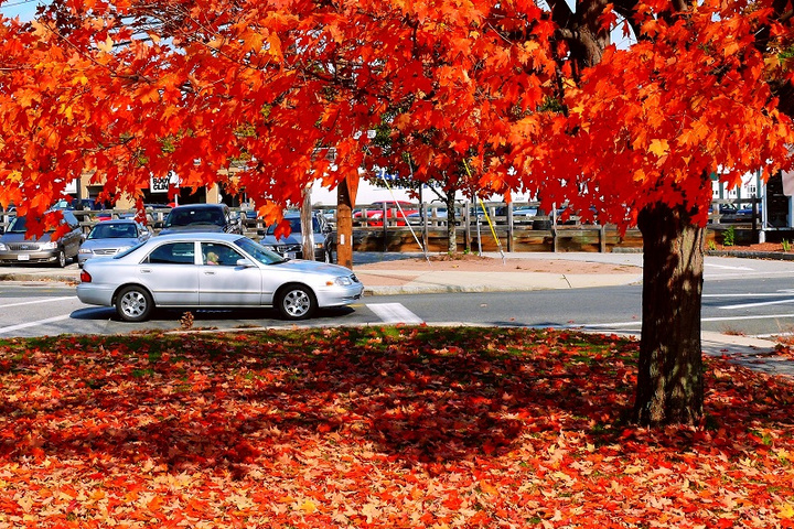 【北美的秋天摄影图片】大波士顿地区风光旅游