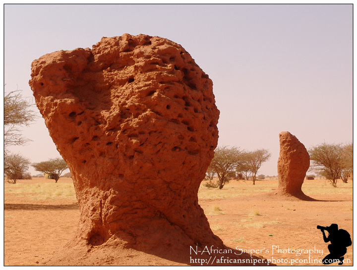 【奇特的蚂蚁山摄影图片】苏丹 喀土穆 郊外风