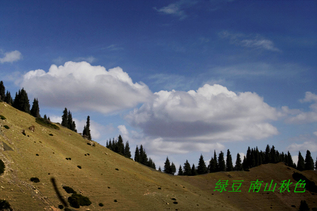【南山秋色摄影图片】新疆乌鲁木齐周边南山风