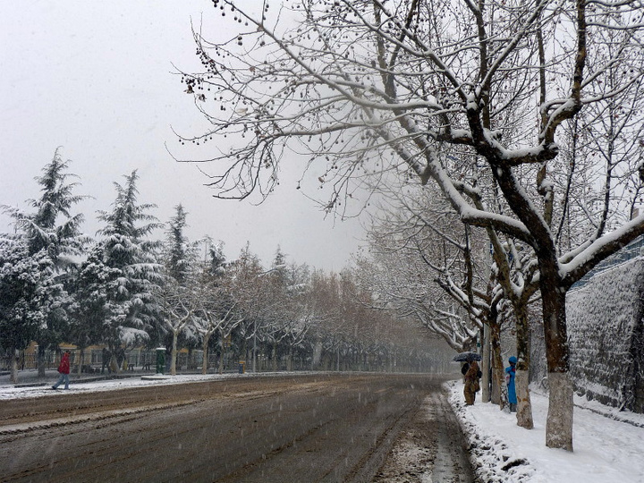 雪中~大雪纷飞