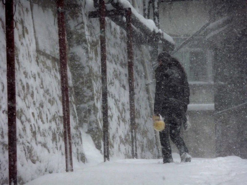 雪中~大雪纷飞