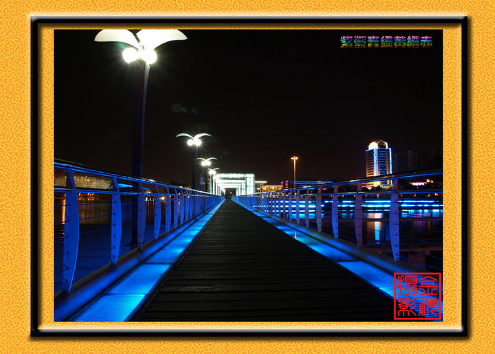 【灯桥摄影图片】广东省东莞市政广场风光旅游