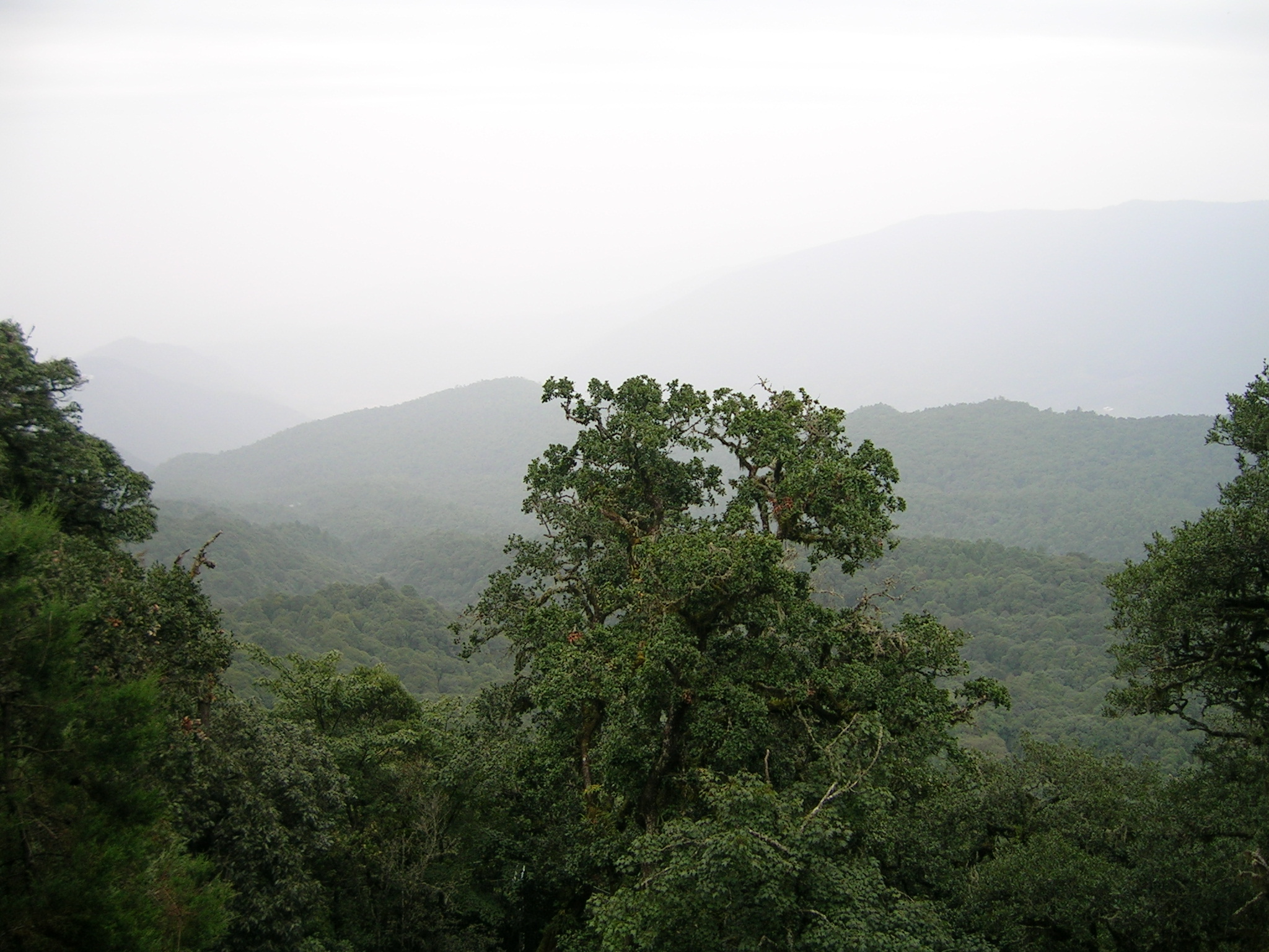 【宾川鸡足山摄影图片】宾川鸡足山风光旅游摄