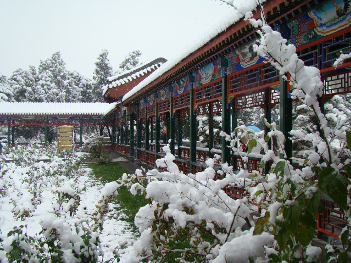 京城瑞雪(北京中山公园)