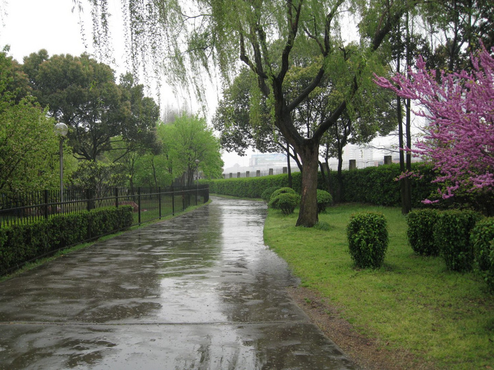 【雨中的苏州运河公园摄影图片】运河公园风光摄影_网