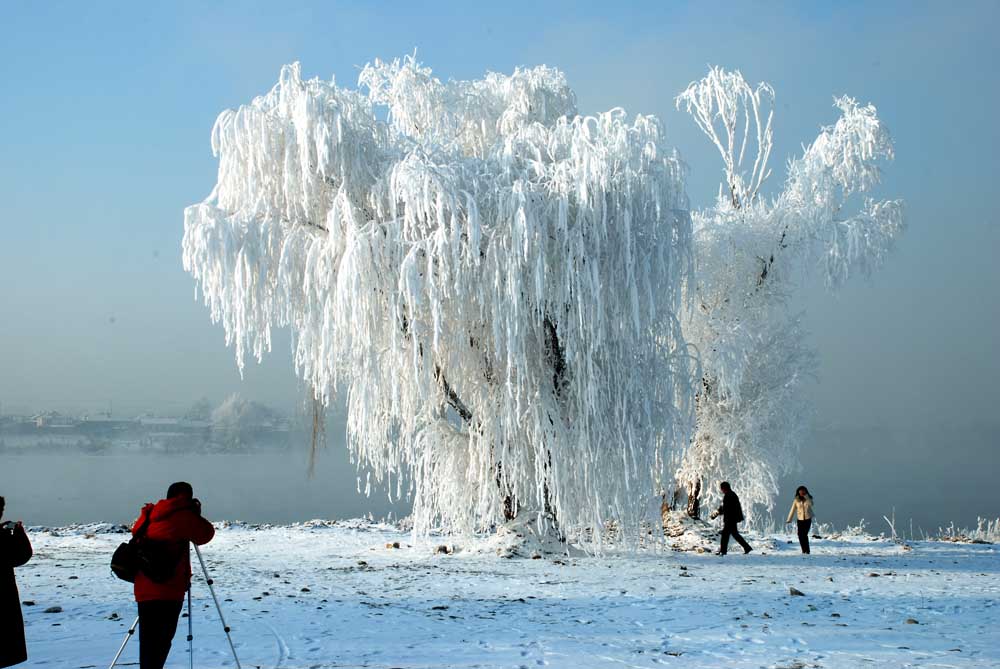 【江城雾凇摄影图片】吉林市风光旅游摄影_太平洋电脑