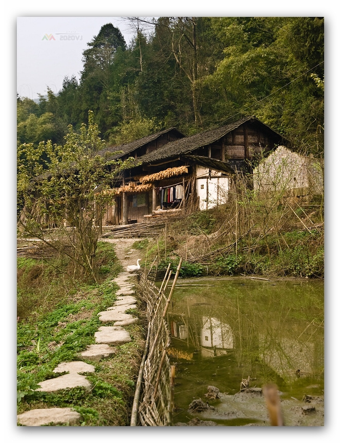 乡间小景