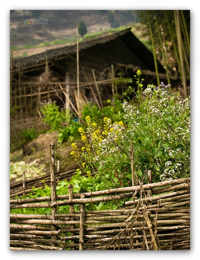乡间小景