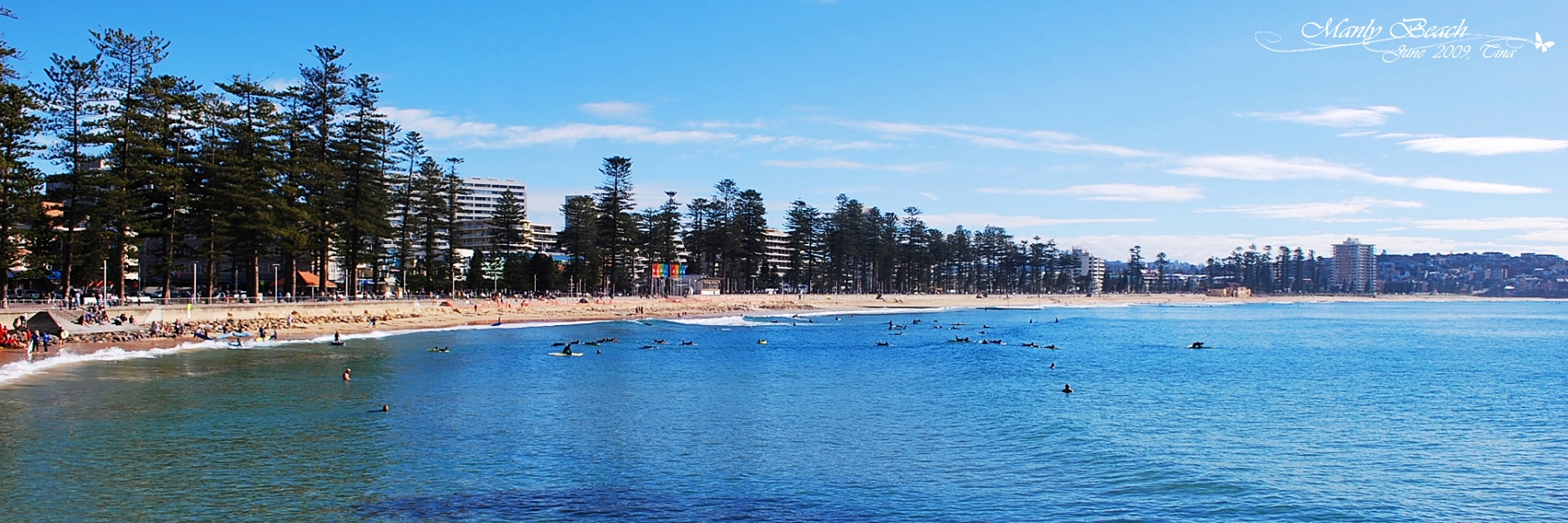 manly beach & brisbane