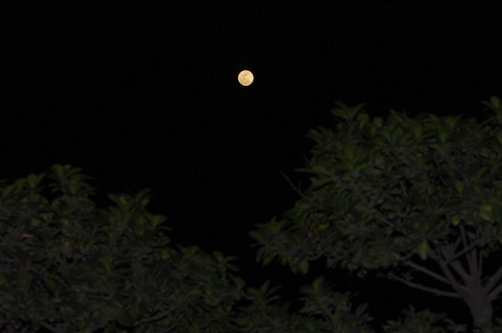 【月夜摄影图片】户外纪实摄影_自然村_太平洋电脑网