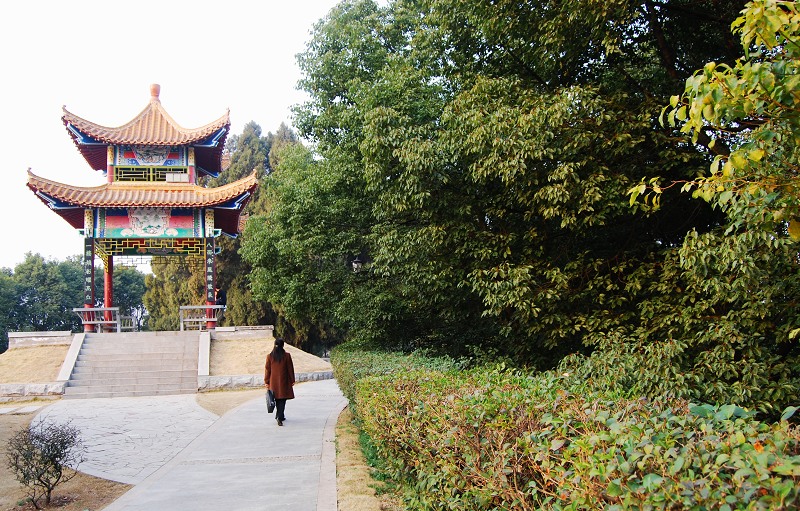 印台山公园赏春