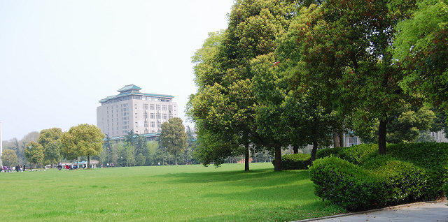 【武汉大学樱花摄影图片】武汉大学风光摄影_小桥西的