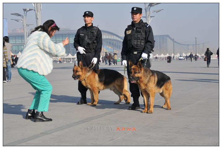 警犬巡逻在鸟巢一道风景线