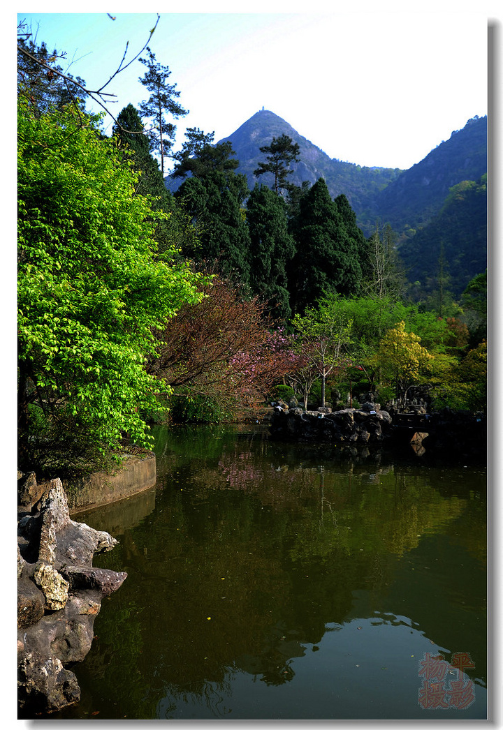 【林中的小路摄影图片】黄岩风光旅游摄影_杨