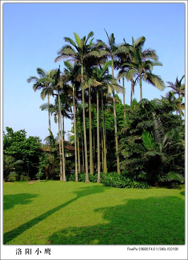 广州流花湖公园