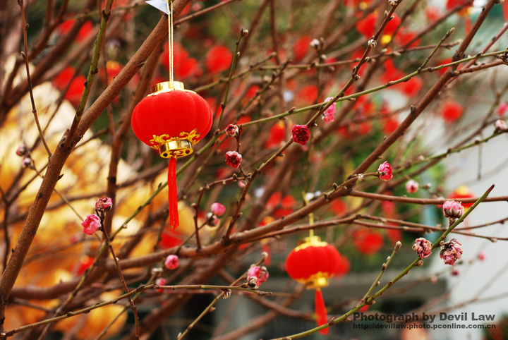 【春节游玩摄影图片】广州晓港公园其他摄影