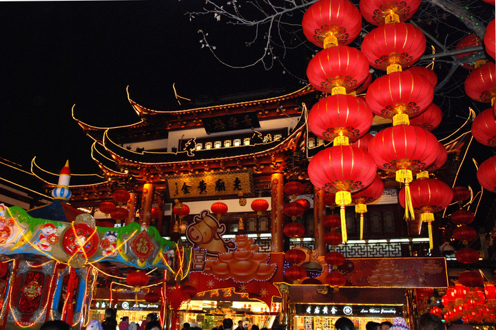 【2009年上海豫园灯会(一)摄影图片】上海豫园商城纪实摄影_太平洋电脑网摄影部落