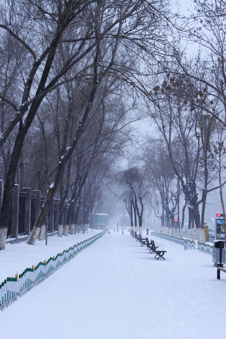 雪-乌鲁木齐