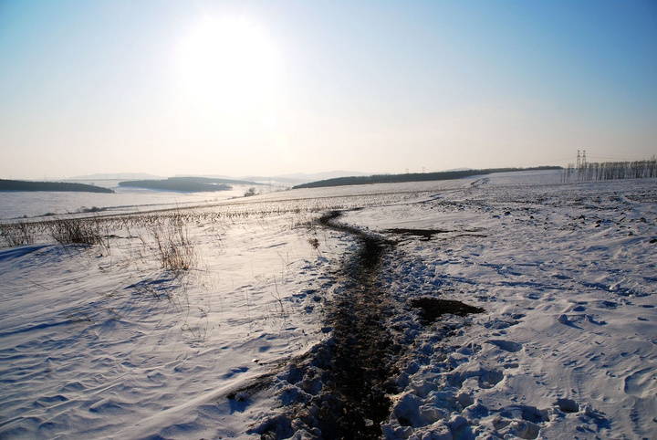 【冬  大地 太阳 一首孤独的诗摄影图片】双鸭山